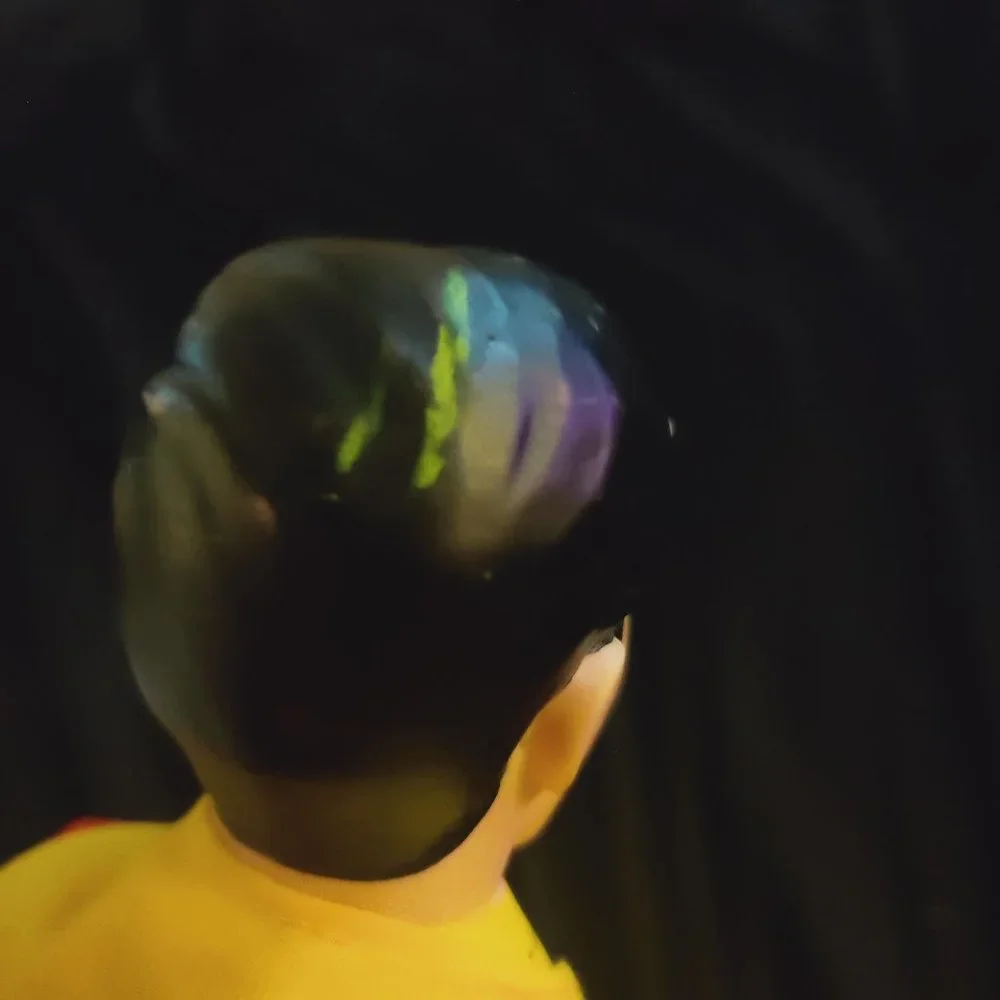 Robin. - Picture 4 of 5